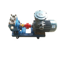 2021 New Durable and Stable Performance Magnetic High Viscosity Pump Liquefied Propane Pump